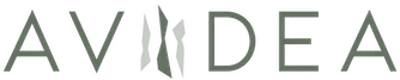 652fd2b83fedad3b005e072f_2023_06_20_AVIDEA_Logo_RZ